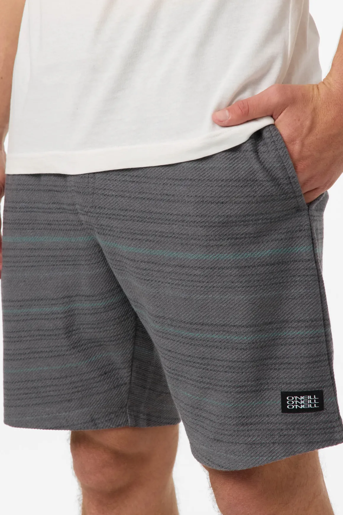 Bavaro Stripe 19" Shorts