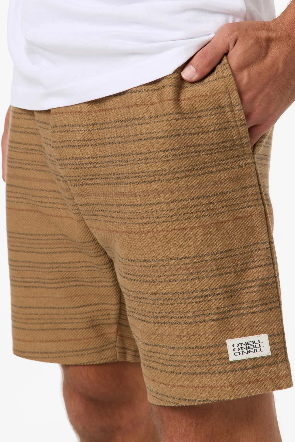 Bavaro Stripe 19"'' Shorts - Elmwood | O'Neill
