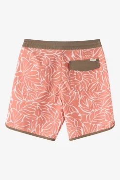 Boy's Cruzer Scallop 16