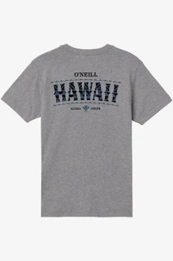 Boy's Hawaii Arch Tee - Heather Grey | O'Neill