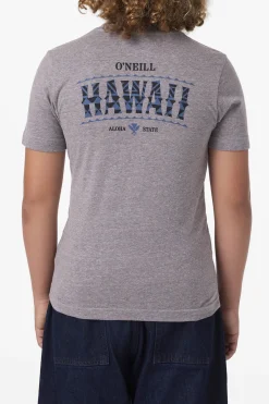 Boy's Hawaii Arch Tee - Heather Grey | O'Neill
