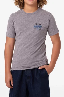 Boy's Hawaii Arch Tee - Heather Grey | O'Neill