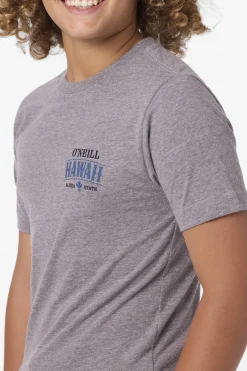 Boy's Hawaii Arch Tee - Heather Grey | O'Neill