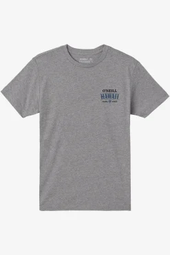 Boy's Hawaii Arch Tee - Heather Grey | O'Neill