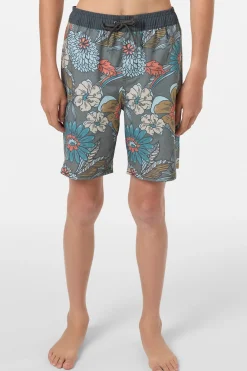 Boy's Hermosa Elastic Waist Lined 16" Swim Trunks Trunks - Mulled Basil | O'Neill