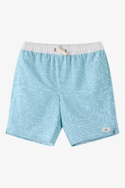Boy's Hermosa Elastic Waist Lined 16" Swim Trunks Trunks - Stone Blue | O'Neill