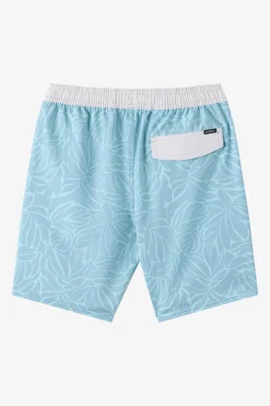 Boy's Hermosa Elastic Waist Lined 16