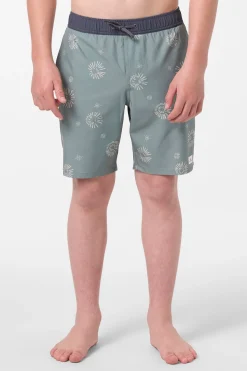 Boy's Hermosa Elastic Waist Lined 16" Swim Trunks Trunks - Sage2 | O'Neill