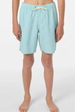 Boy's Lennox Hermosa Solid Volley 16" Swim Trunks Trunks - Canal Blue | O'Neill