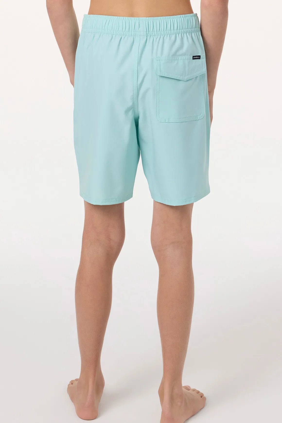 Boy's Lennox Hermosa Solid Volley 16" Swim Trunks Trunks - Canal Blue | O'Neill