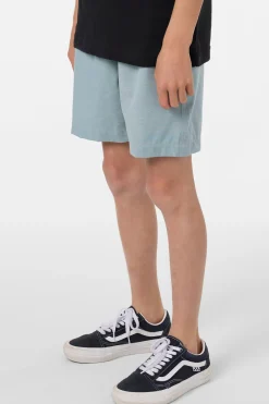 Boy's Reserve Light Check Elastic Waist 16