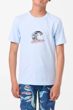 Boy's Team Spike Tee - Sky Blue Heather | O'Neill