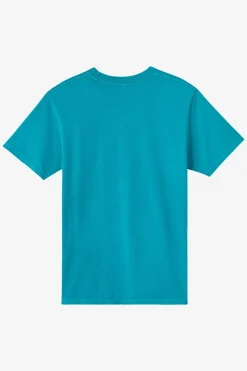 Bullseye Relaxed Fit Tee - Stormy | O'Neill