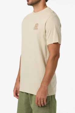 Burst Classic Tee Standard Fit Tee - Lt Khaki | O'Neill