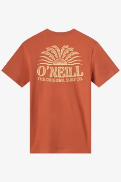 Burst Classic Tee Standard Fit Tee - Chutney | O'Neill