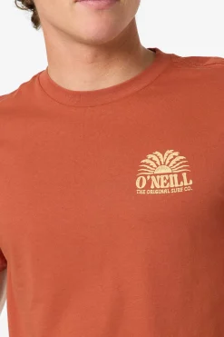 Burst Classic Tee Standard Fit Tee - Chutney | O'Neill