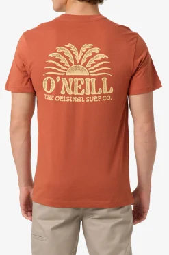 Burst Classic Tee Standard Fit Tee - Chutney | O'Neill