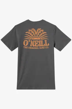 Burst Classic Tee Standard Fit Tee - Dark Shadow | O'Neill
