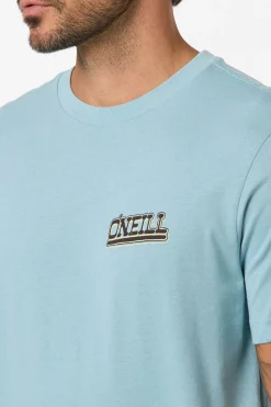 Cactus Classic Tee Standard Fit Tee - Stone Blue | O'Neill