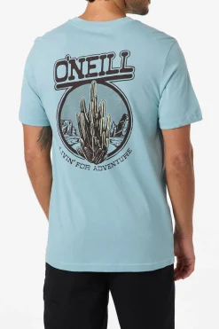 Cactus Classic Tee Standard Fit Tee - Stone Blue | O'Neill