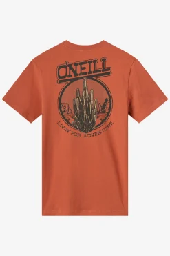 Cactus Classic Tee Standard Fit Tee - Chutney | O'Neill