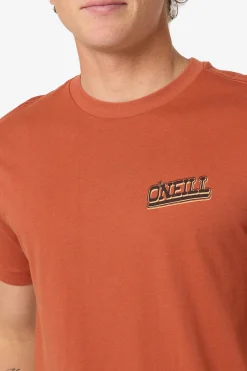 Cactus Classic Tee Standard Fit Tee - Chutney | O'Neill