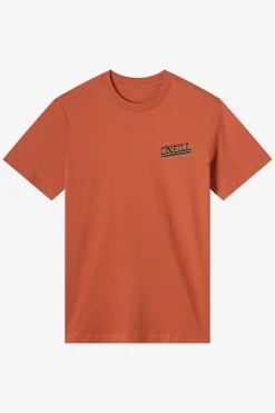 Cactus Classic Tee Standard Fit Tee - Chutney | O'Neill