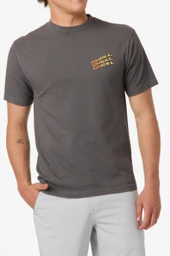 Circle Freak Boxy Tee Standard Fit Tee - Grey Mineral | O'Neill