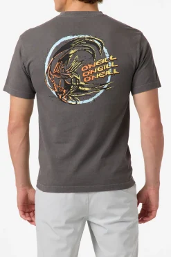 Circle Freak Boxy Tee Standard Fit Tee - Grey Mineral | O'Neill