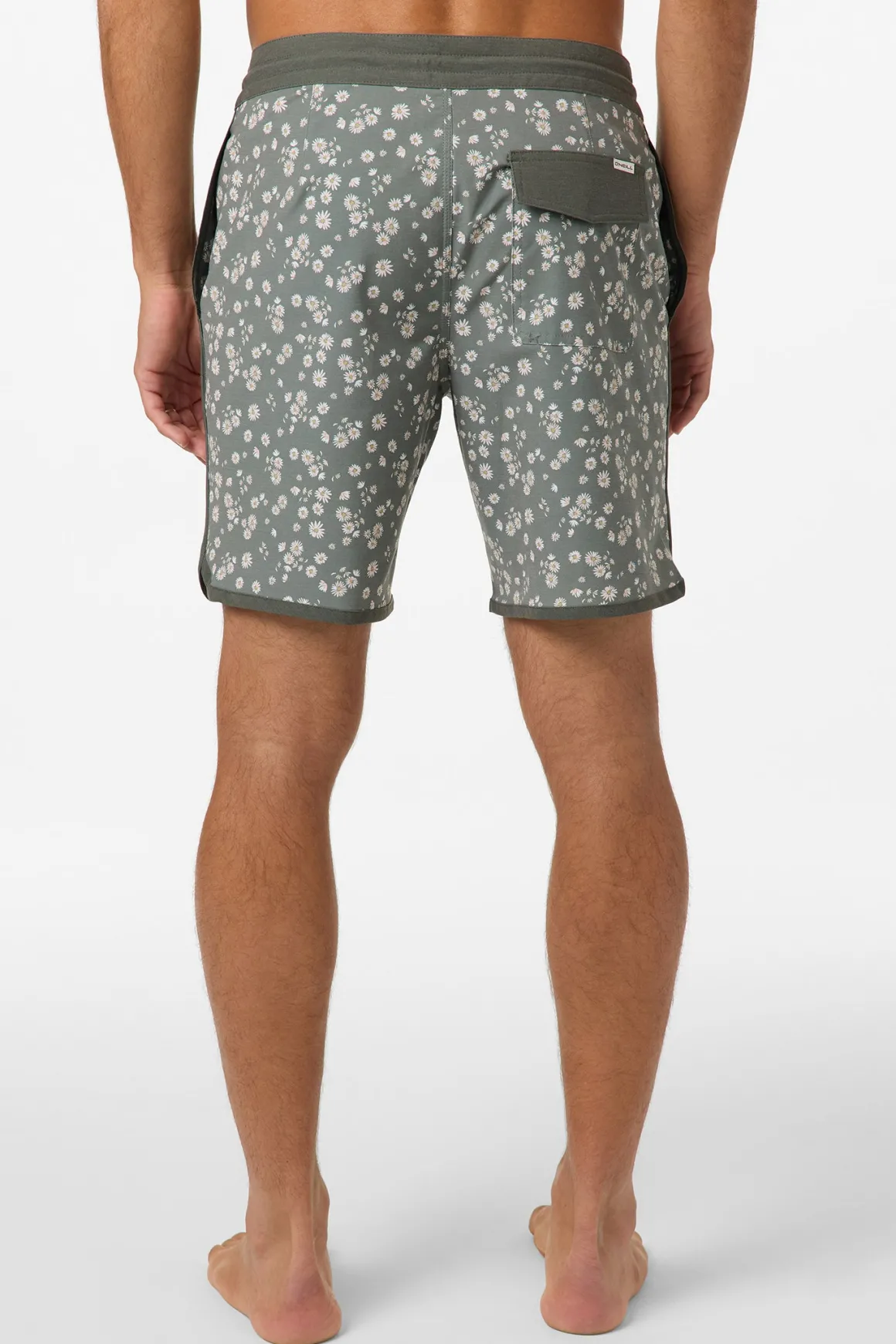 Cruzer Scallop 18" Boardshorts