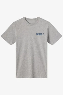 Dawn Classic Tee Standard Fit Tee - Heather Grey | O'Neill