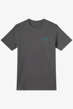Dawn Classic Tee Standard Fit Tee - Dark Shadow | O'Neill