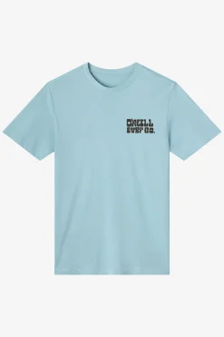 De La Cruzer Classic Tee Standard Fit Tee - Stone Blue | O'Neill