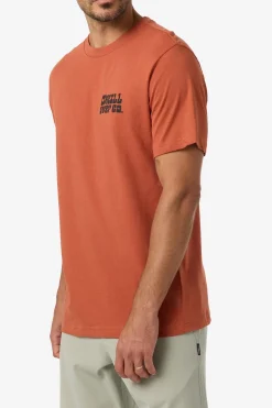 De La Cruzer Classic Tee Standard Fit Tee - Chutney | O'Neill