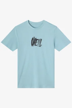 Distract Classic Tee Standard Fit Tee - Stone Blue | O'Neill