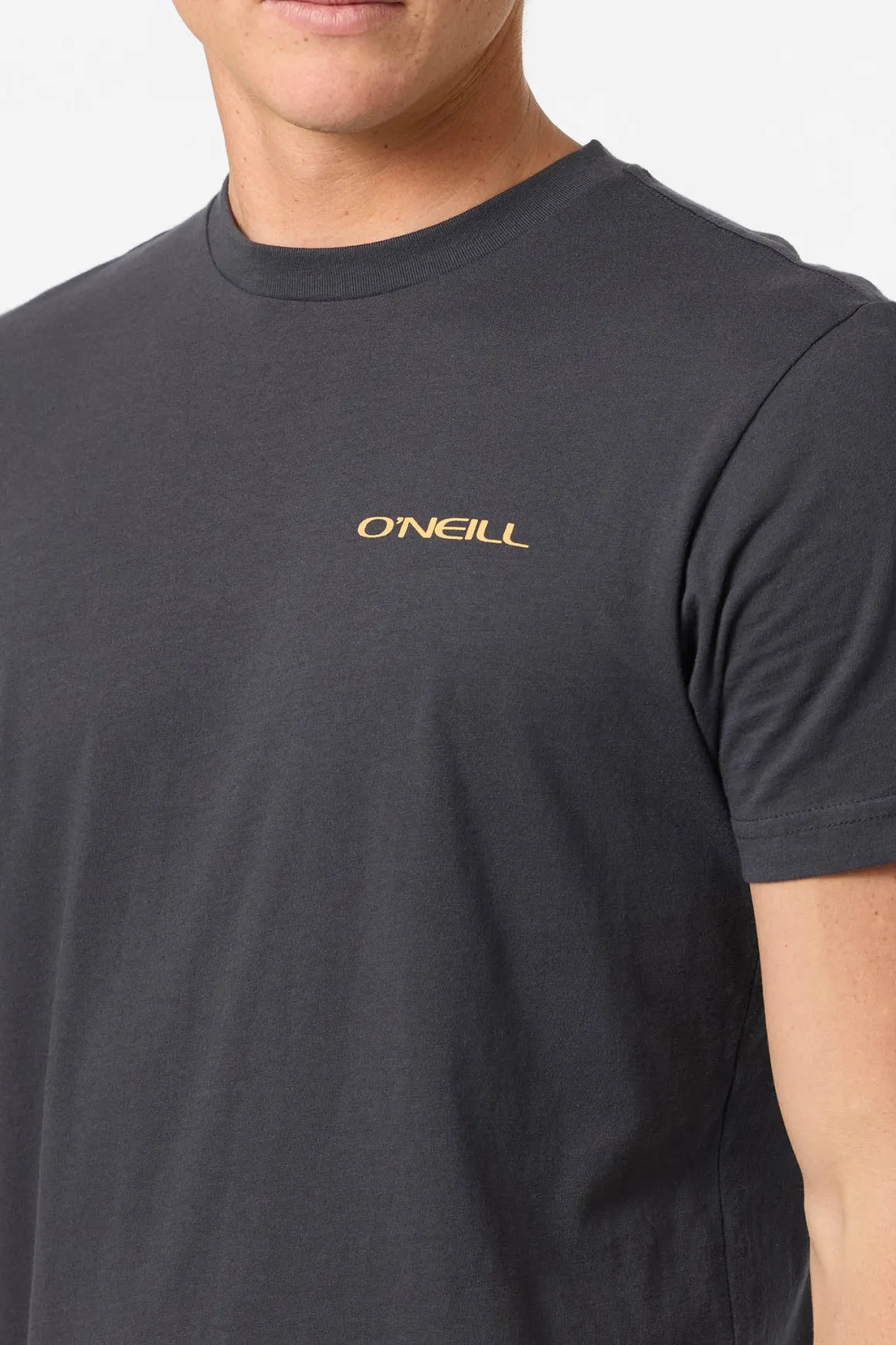 Glassy Days Standard Fit Tee - Phantom | O'Neill