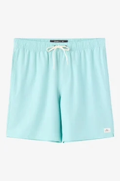 Lennox Hermosa Solid Volley 17" Swim Trunks