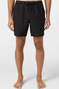 Lennox Hermosa Solid Volley 17" Swim Trunks