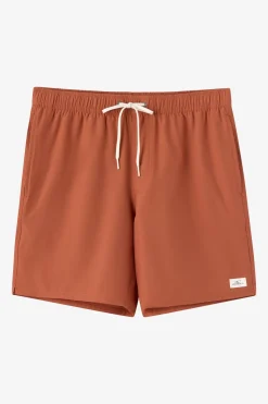 Lennox Hermosa Solid Volley 17" Swim Trunks