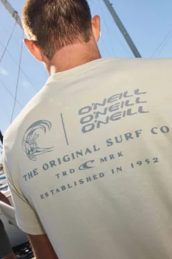 Offset Classic Tee Standard Fit Tee - Lt Khaki | O'Neill