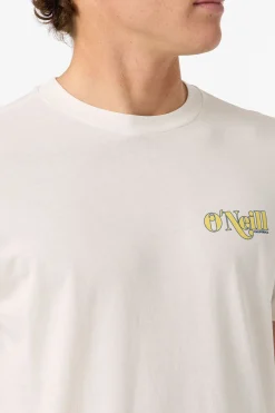 Shop Classic Tee Standard Fit Tee - Tofu | O'Neill