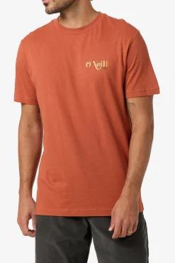 Shop Classic Tee Standard Fit Tee - Chutney | O'Neill