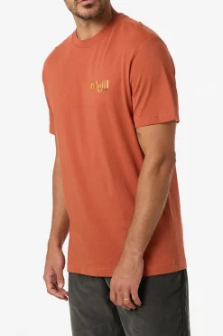 Shop Classic Tee Standard Fit Tee - Chutney | O'Neill
