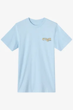 Shop Classic Tee Standard Fit Tee - Sky Blue Heather | O'Neill