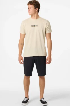 Triple Stack Standard Fit Tee - Lt Khaki | O'Neill