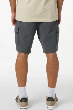 TRVLR Cargo Hybrid 20